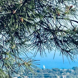 Maison Independante Vue Au Coeur De La Nature , Toulon France
